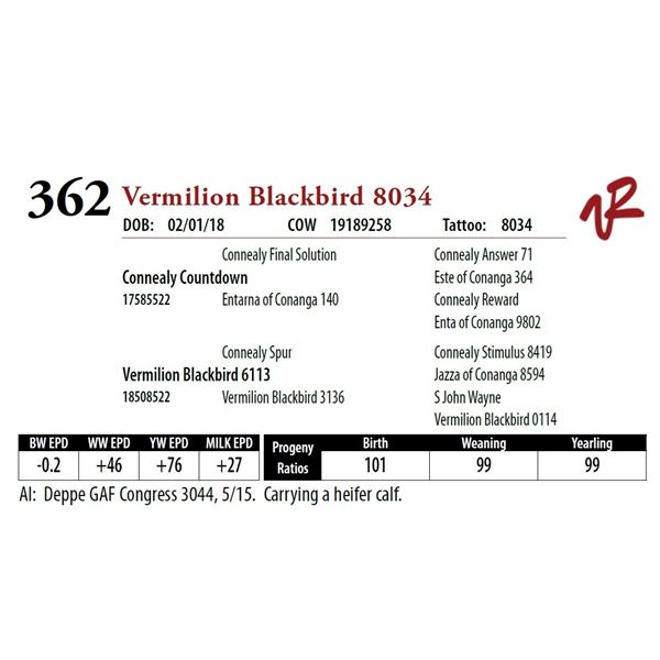 VERMILION BLACKBIRD 8034