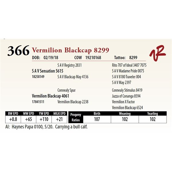 VERMILION BLACKCAP 8299