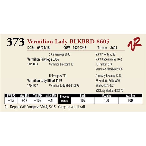 VERMILION LADY BLACKBIRD 8605