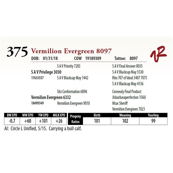 VERMILION EVERGREEN 8097