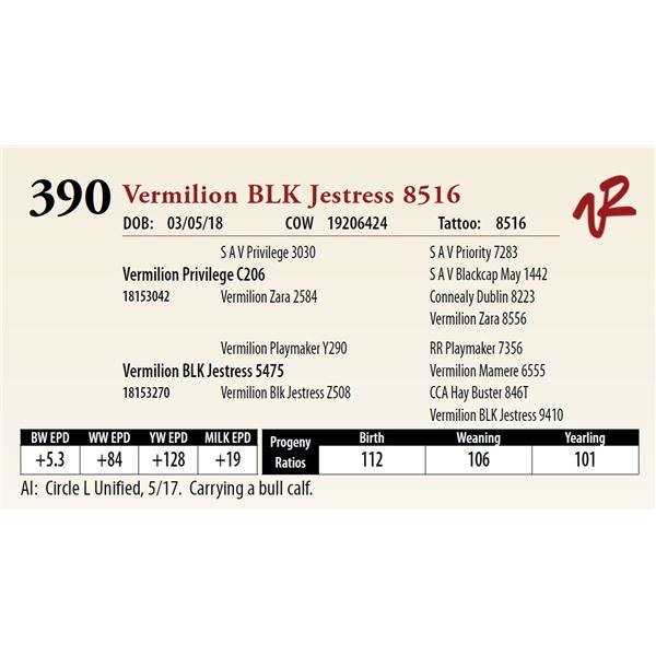 VERMILION BLK JESTRESS 8516