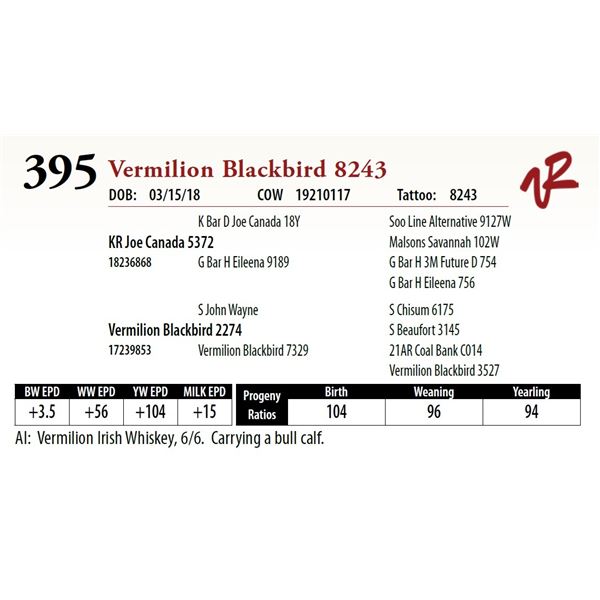 VERMILION BLACKBIRD 8243