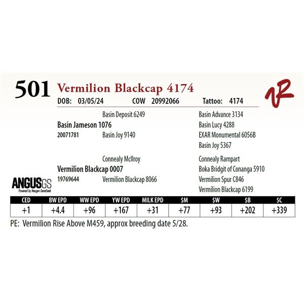 VERMILION BLACKCAP 4174