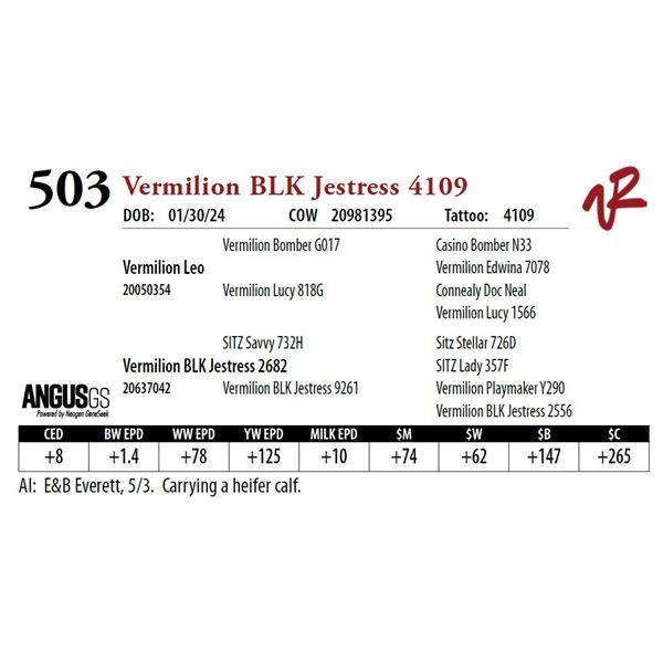 VERMILION BLK JESTRESS 4109