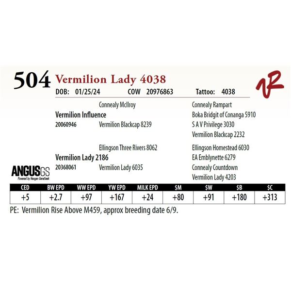 VERMILION LADY 4038