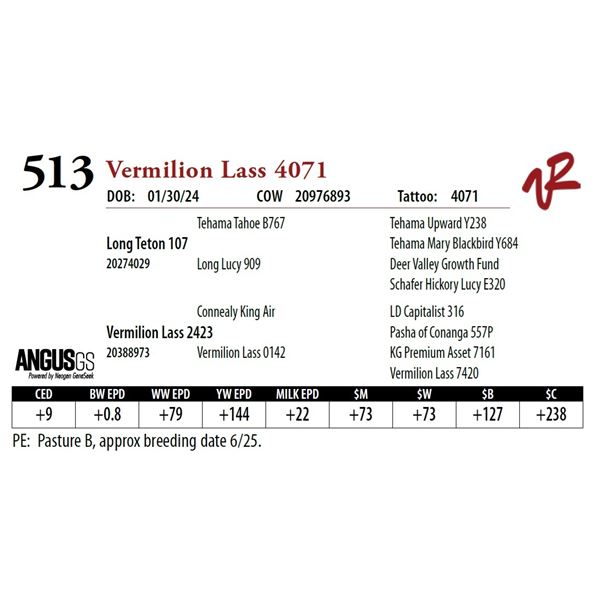 VERMILION LASS 4071