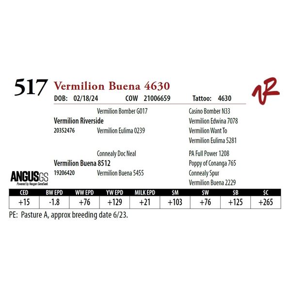 VERMILION BUENA 4630