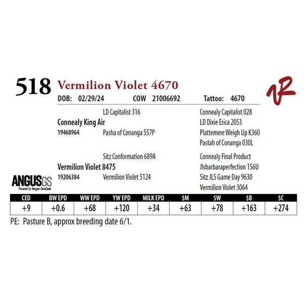 VERMILION VIOLET 4670