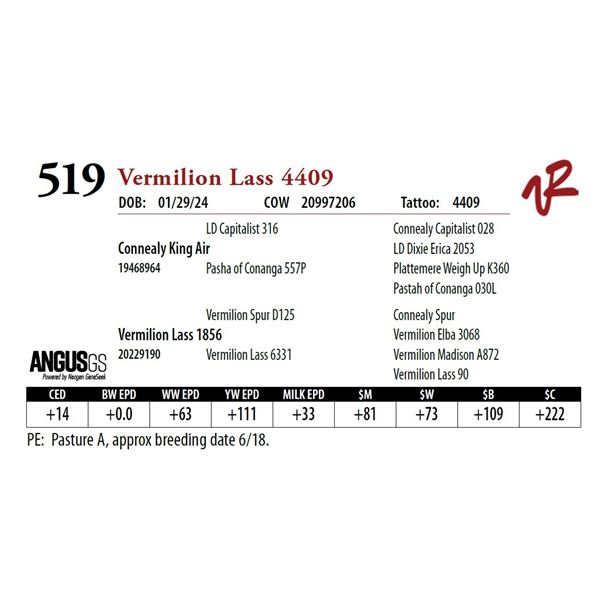 VERMILION LASS 4409