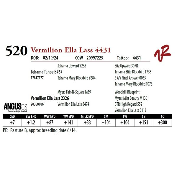 VERMILION ELLA LASS 4431