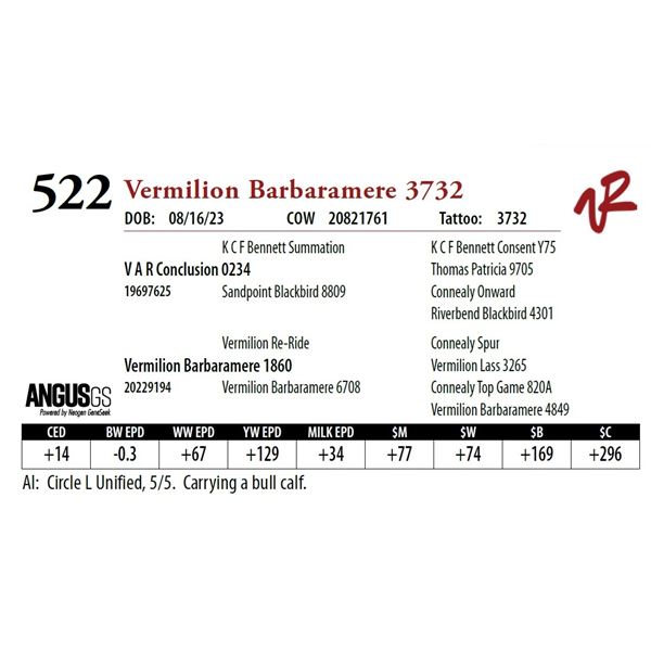 VERMILION BARBARAMERE 3732