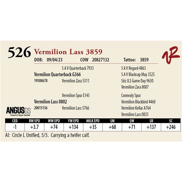 VERMILION LASS 3859