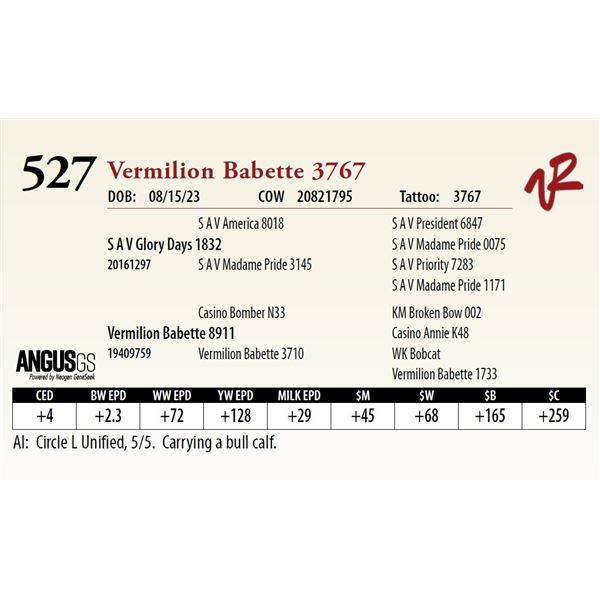 VERMILION BABETTE 3767