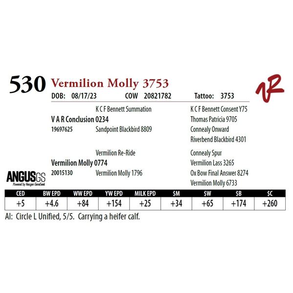 VERMILION MOLLY 3753