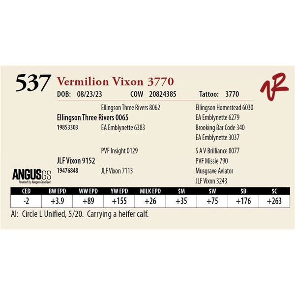 VERMILION VIXON 3770
