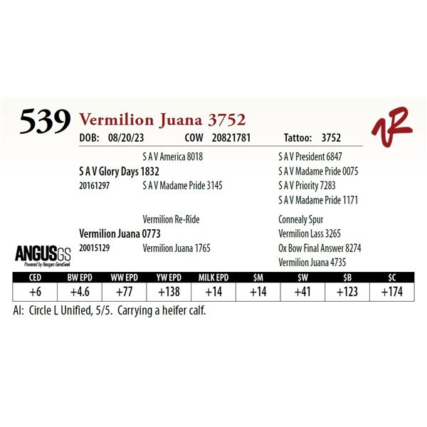 VERMILION JUANA 3752