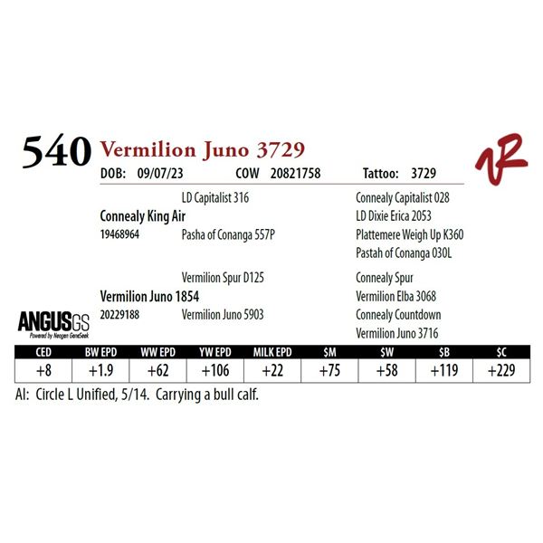 VERMILION JUNO 3729
