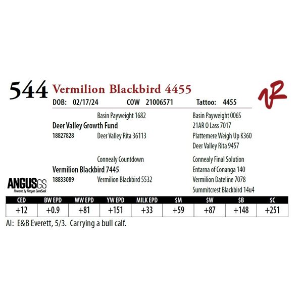 VERMILION BLACKBIRD 4455