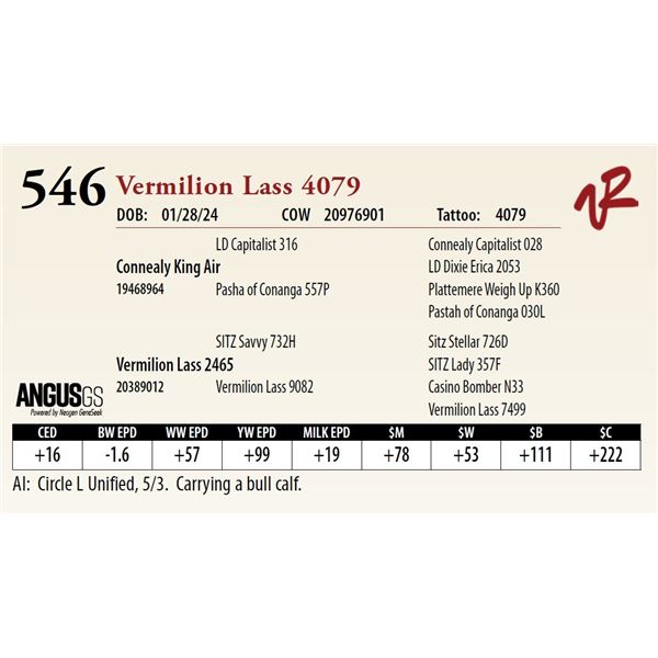 VERMILION LASS 4079