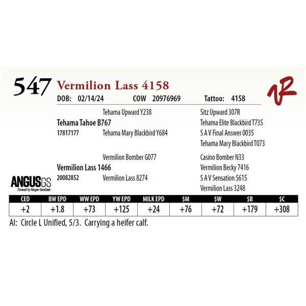 VERMILION LASS 4158