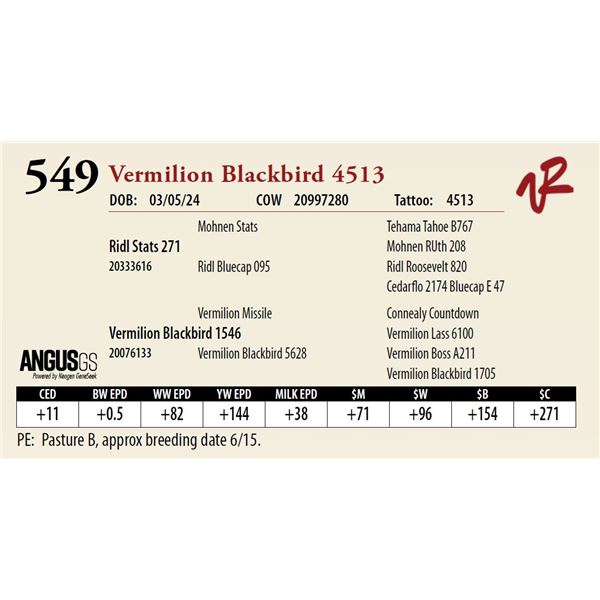 VERMILION BLACKBIRD 4513