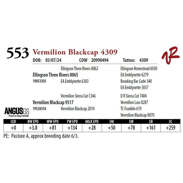 VERMILION BLACKCAP 4309