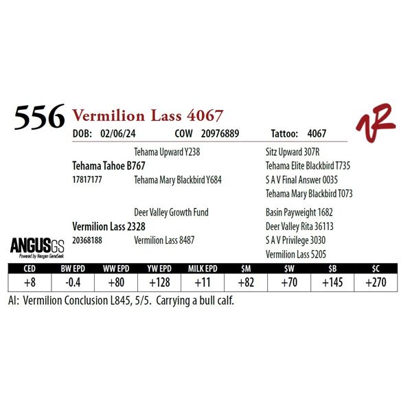 VERMILION LASS 4067