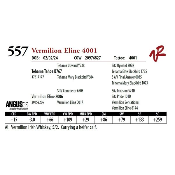 VERMILION ELINE 4001