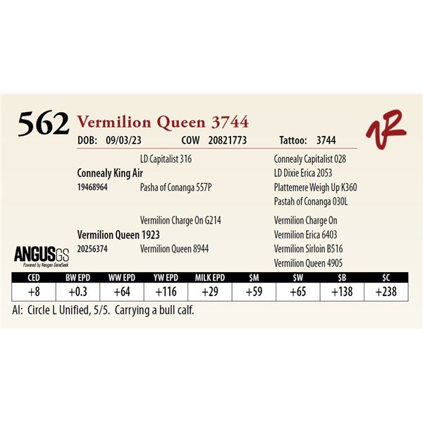 VERMILION QUEEN 3744