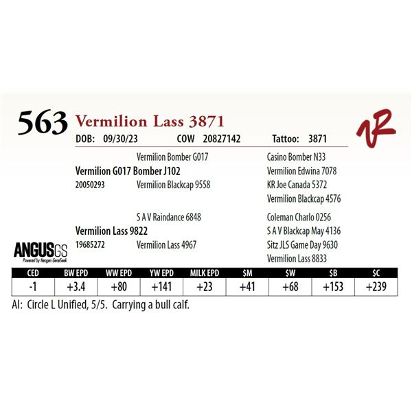 VERMILION LASS 3871
