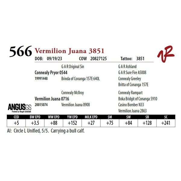 VERMILION JUANA 3851