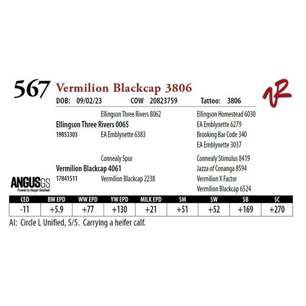 VERMILION BLACKCAP 3806