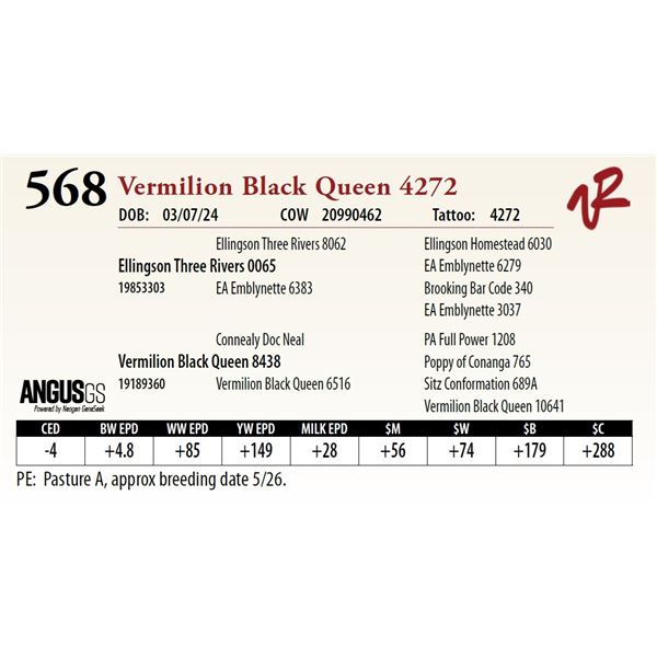 VERMILION BLACK QUEEN 4272