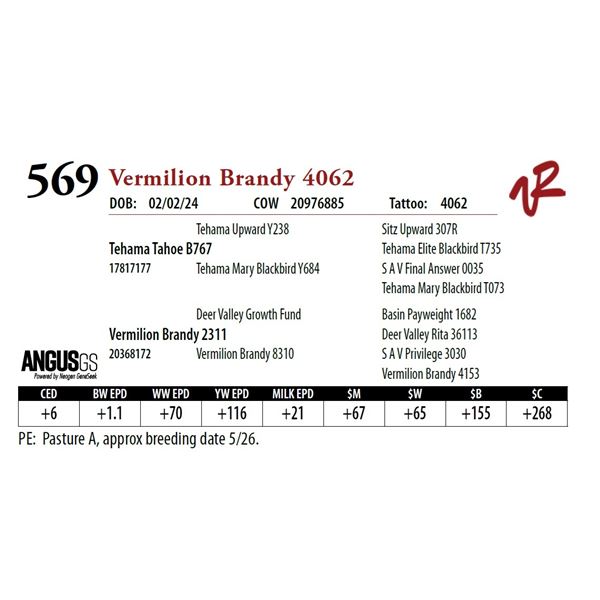 VERMILION BRANDY 4062