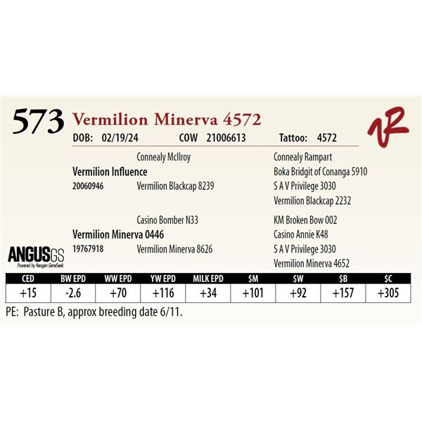 VERMILION MINERVA 4572