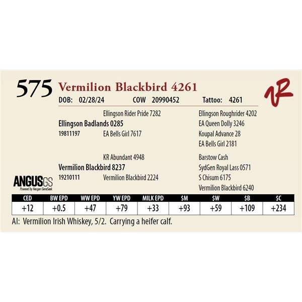 VERMILION BLACKBIRD 4261