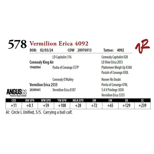 VERMILION ERICA 4092