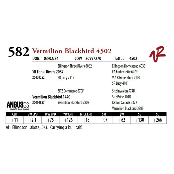 VERMILION BLACKBIRD 4502