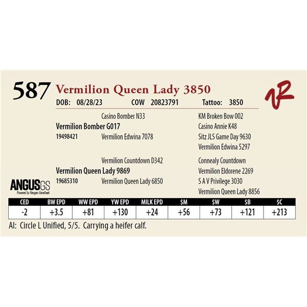 VERMILION QUEEN LADY 3850