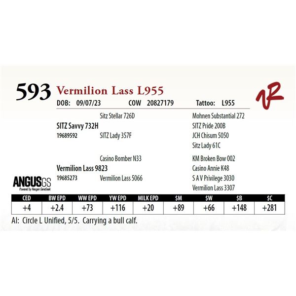 VERMILION LASS L955