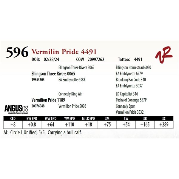 VERMILION PRIDE 4491