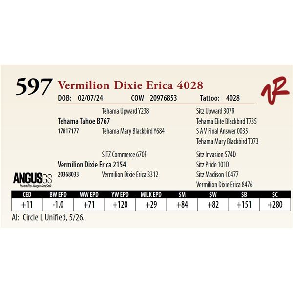 VERMILION DIXIE ERICA 4028