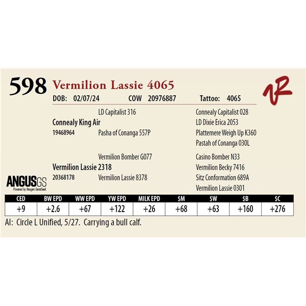 VERMILION LASSIE 4065