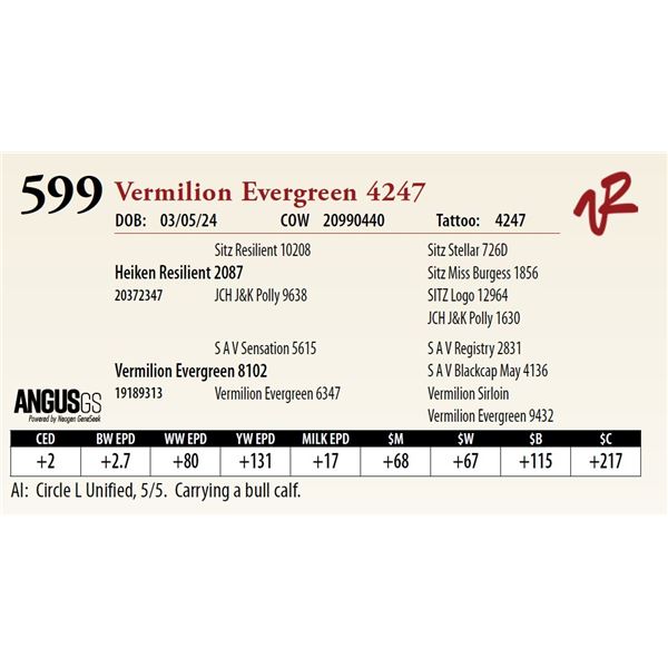 VERMILION EVERGREEN 4247