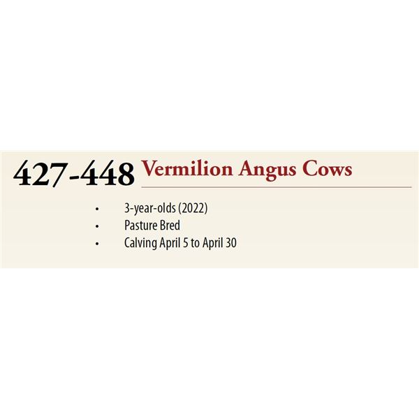 Lots: 427-448 VERMILION ANGUS COWS