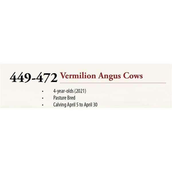 Lots: 449-472 VERMILION ANGUS COWS