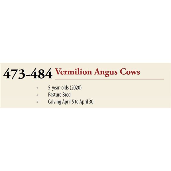Lots: 473-484 VERMILION ANGUS COWS