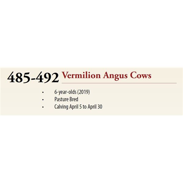 Lots: 485-492 VERMILION ANGUS COWS