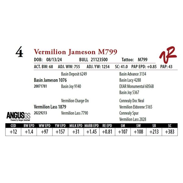 VERMILION JAMESON M799