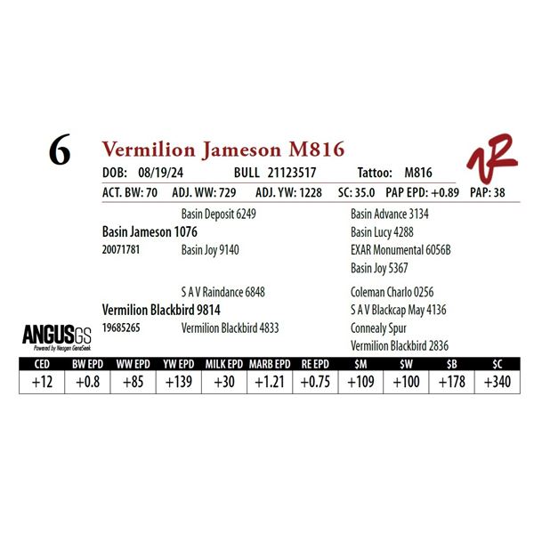 VERMILION JAMESON M816